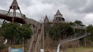 アクアスランドは大人も子どもも楽しめます