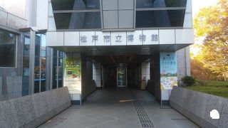 松戸の歴史がわかる