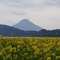 池田湖に隣接しています