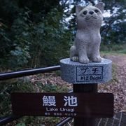 近くに西郷どんも入ったといわれる温泉もあります