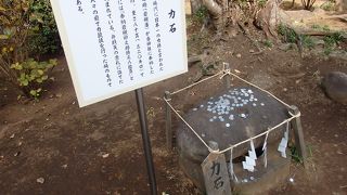 パワーを貰いに 江ノ島散策で江ノ島神社奥津宮の隣にある亀石に寄りました