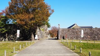 木造で復元された本丸御殿が建つ佐賀城跡