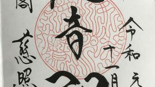 久しぶりの銀閣寺に癒される