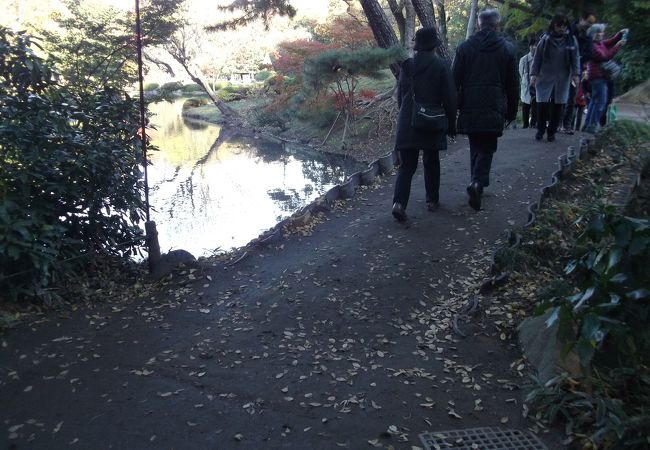 六義園 千鳥橋 クチコミ アクセス 営業時間 大塚 巣鴨 駒込 フォートラベル 六義園 千鳥橋 クチコミ アクセス 営業時間 大塚 巣鴨 駒込 フォートラベル