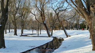 広大な敷地を誇る大学!