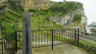 遊歩道を歩くとさらなる魅力が