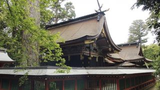 奈良の春日大社の鹿は、ここから。