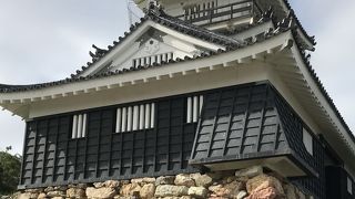 浜松に来たから