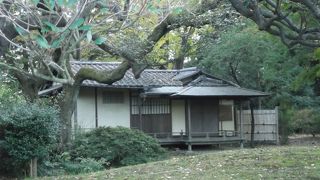 茶室の建物