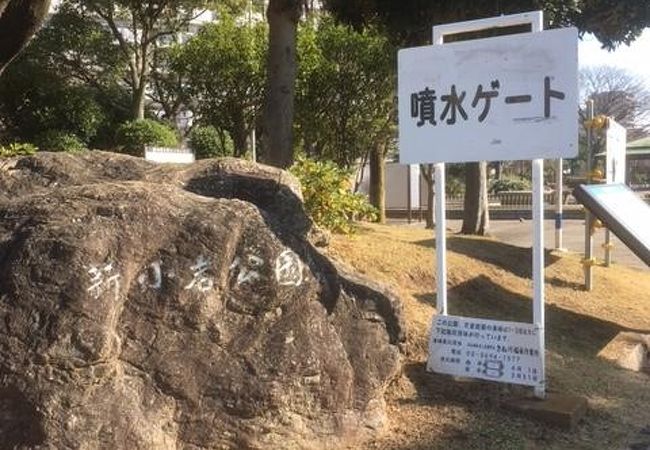新小岩公園 クチコミ アクセス 営業時間 新小岩 小岩 フォートラベル