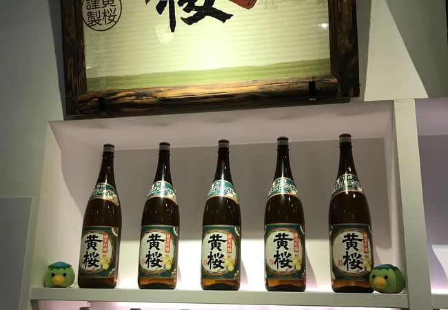 きき酒セットで伏見の日本酒を堪能