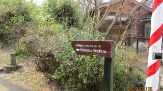 倉吉のシンボル