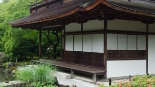 美味しいお抹茶も頂けます