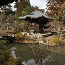 池の中の島にある