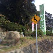 御船山楽園