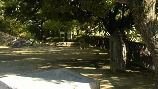 一般的な神社かな