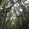 命がけで,写真撮影