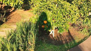 楽しいショッピングモール