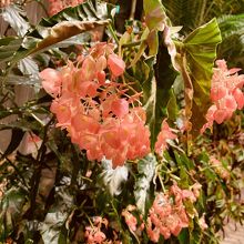 色が綺麗でした。