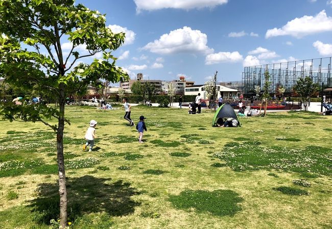 テントをもって子供と行こう。空の上の公園
