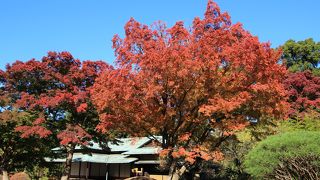 大嘗宮一般参観の後に