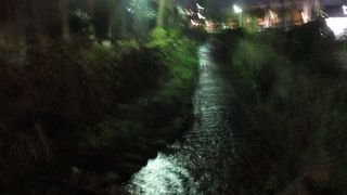 冬の夜に用水路に沿って歩く機会があったのですが、結構雰囲気がありました