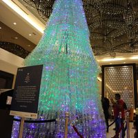 ロビー内のクリスマスツリーです