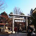 繩手通りがすぐ隣にある神社です。