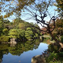 墨田区側の日本庭園