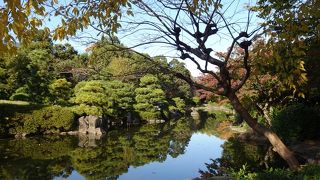 東京スカイツリーが間近に見える （隅田公園）