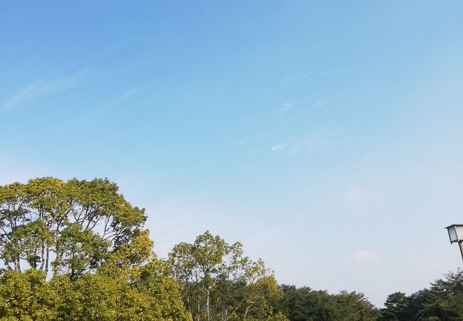 大きな公園