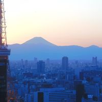 少しアップにして撮ってみました