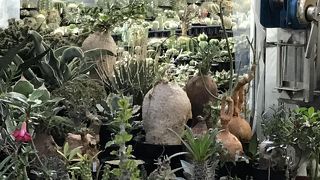 屋上がにぎやか。