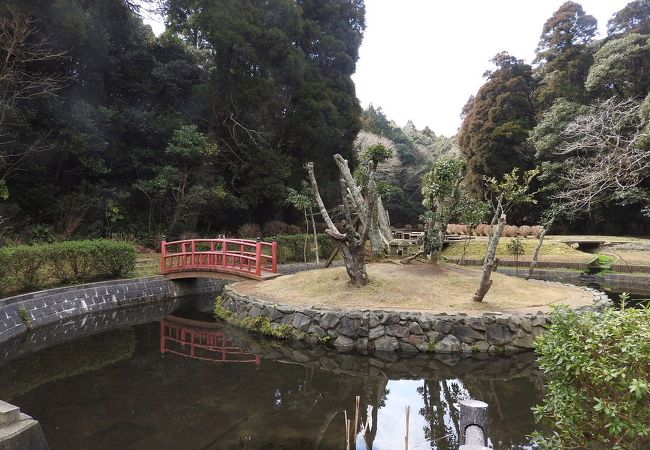 ウグイスが見られました。