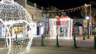 コンパクトながら十分な品揃え