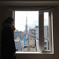 部屋から見える東京タワー（昼）