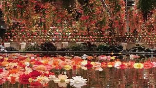 思った以上に充実しています