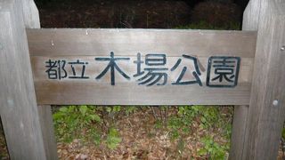 木場公園は、江東区の木場の貯木場を埋め立てて、その跡地に、造成された公園です。