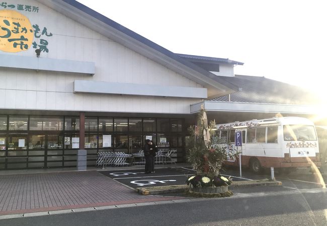 うま かも ん 市場 唐津