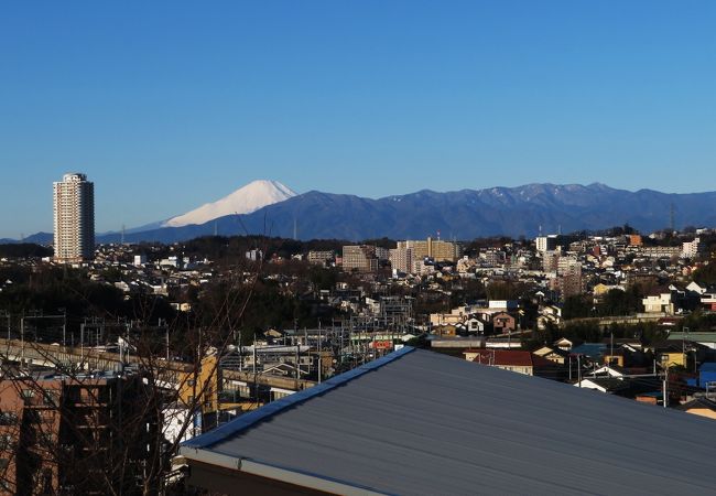 富士山神社の富士塚から富士山を眺めました