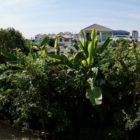 窓からの眺め（３階）。バンコクの田舎風。