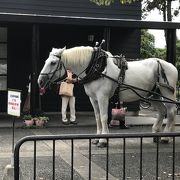 由布院駅から温泉街へ散歩