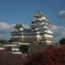 廊下からの眺め