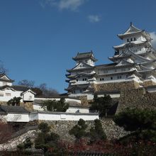 廊下からの眺め