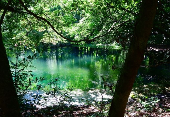 丸池様 クチコミ アクセス 営業時間 鳥海山 山形側 フォートラベル 丸池様 クチコミ アクセス 営業時間 鳥海山 山形側 フォートラベル