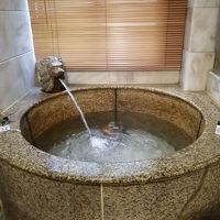 ライオンの口から温泉がどばー