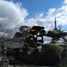 久米田池の真横の久米田寺です、いい雰囲気ですよ