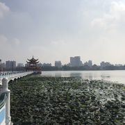 見所がたくさん