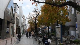 綺麗に整備された緑道