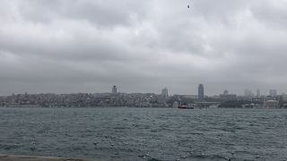 移動だけでなく観光も出来る